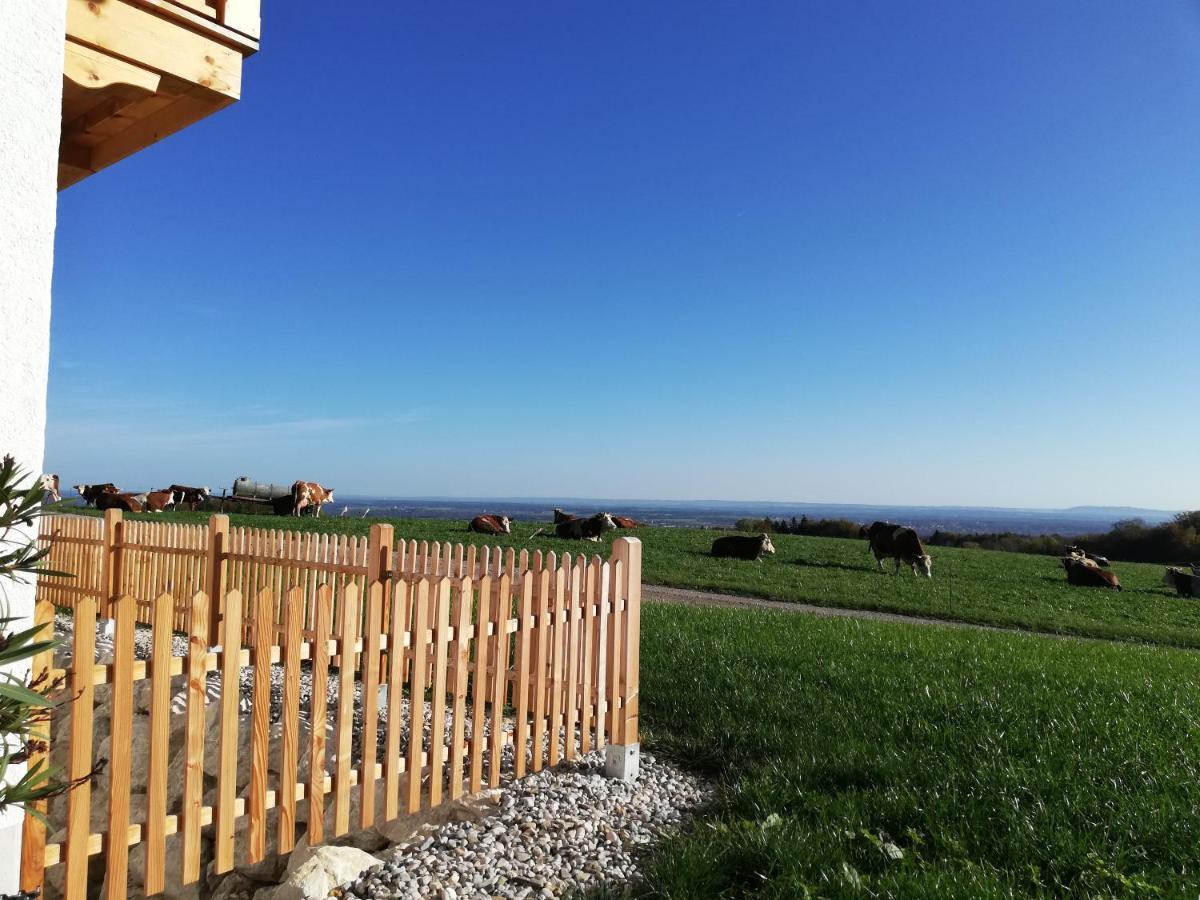Sonnenhub Apartment Иршенберг Екстериор снимка